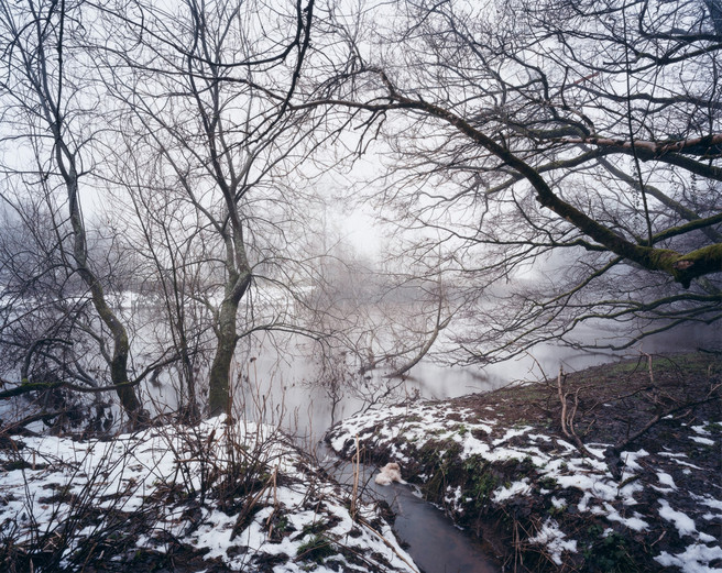 River Exe at Bickleigh, 29 December 2010 from the book ‘The River - Winter’