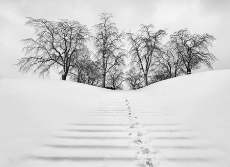 Woodland Cemetery