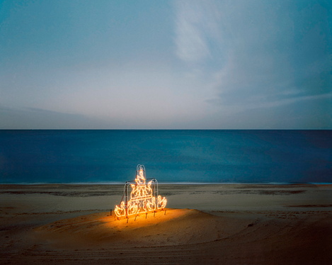 Scott Conarroe - Swans, Virginia Beach VA, 2009 © Scott Conarroe