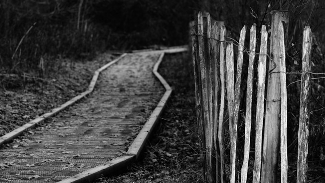 Walkway, Salhouse Broad, Norfolk Broads