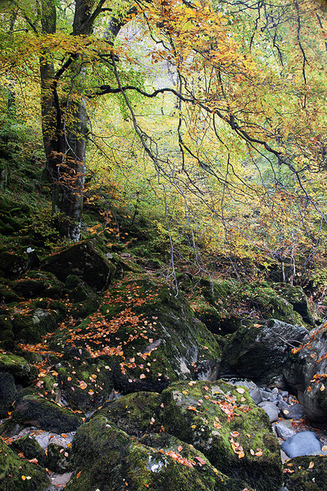 David Langan-  Killiecrankie