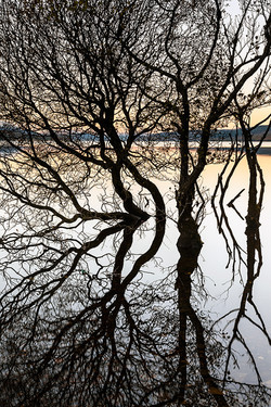 David Langan - Loch Rannoch Reflection