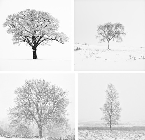 dougchinnery-all-small