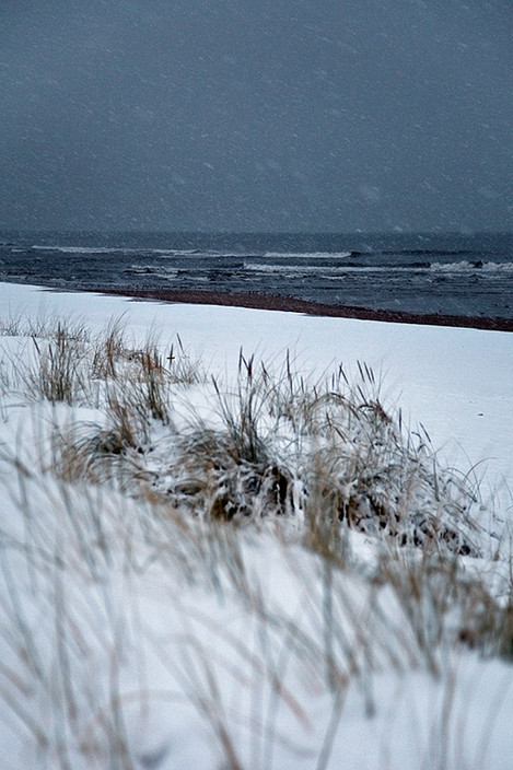 David Langan - sea blizzard 2