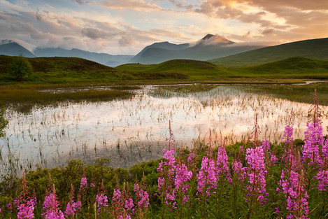 The-Black-Mount-over-an-un-named-lochan,-Rannoch-Moor-06071652_640x1096