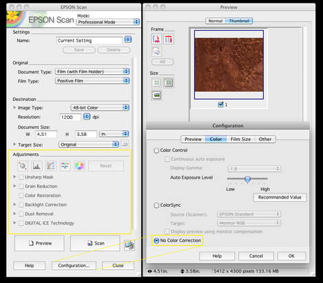 Epson scanner settings - Inverting Negatives Refined