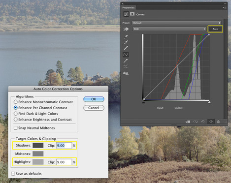 Photoshop - Inverting and applying basic settings