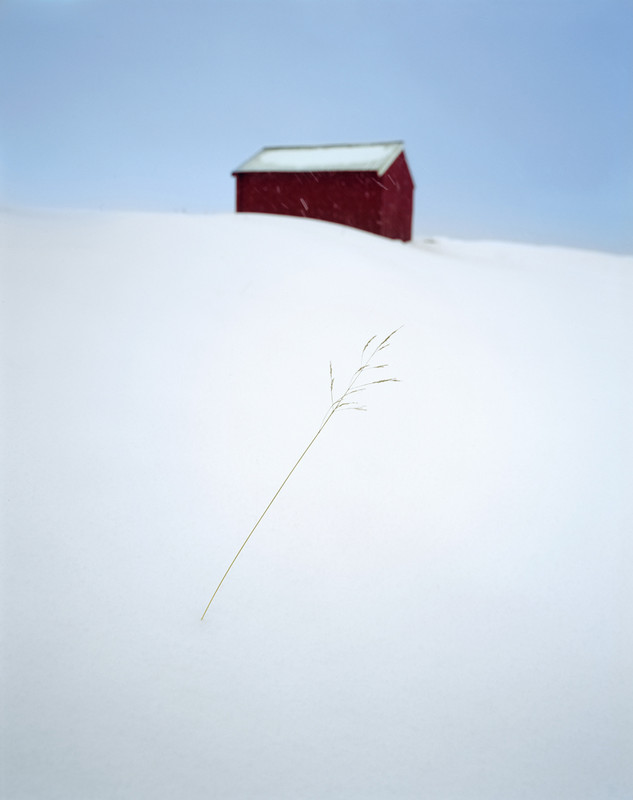 David Ward -Boatshed and Grass, Eggum