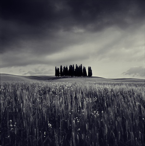 Paul Whiting - Tuscany