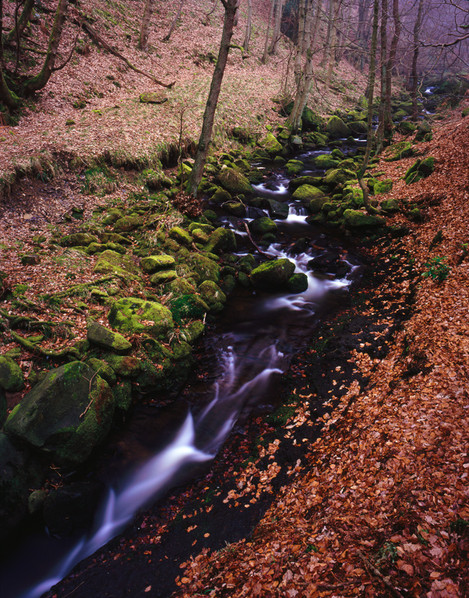 Dave Parry - Misty Gorge