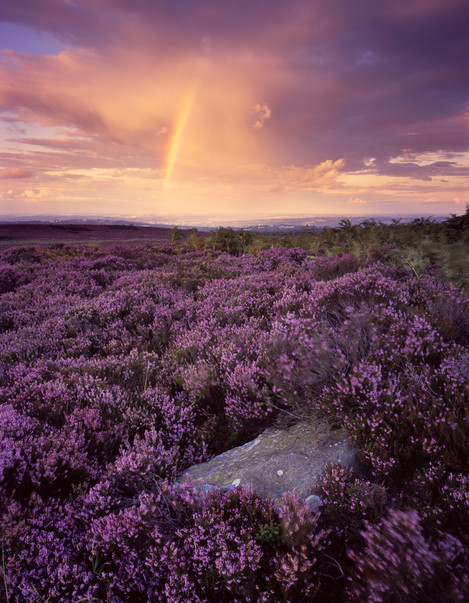 Dave Parry - Ringinglow Rainbow