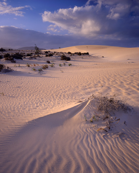 Dave Parry - Corallejo Dunes, Fuerteventura