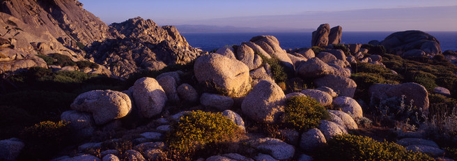 Dave Parry - Granite Garden, Capo Testa