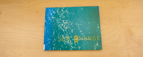 Sea Change : The Seascape in Contemporary Art 1
