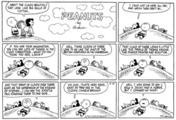 peanuts_custom-81897f1db91a1e5611221ef8103c1e2ff1560db4-s6-c30