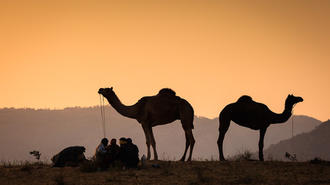 Pushkar