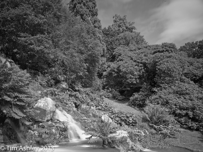 IQ 260 Achro with IR Cut filter. ISO 200 at 11 seconds. Out-of-the-can processing. A bit boring.