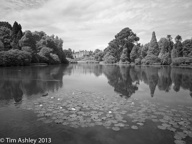 Just for fun, the same scene shot in 'normal' B&W on the 260 Achro with no filtration other than UV & IR Cut. Really not very exciting.