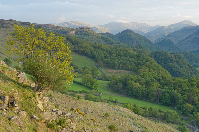 On the Path to Falcon's Crag