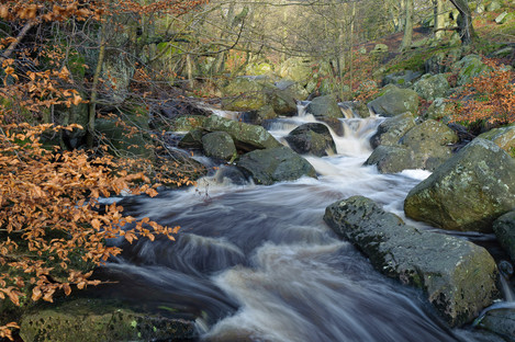 Padley Gorge