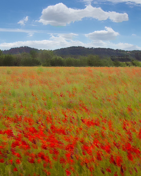 Doug Chinnery