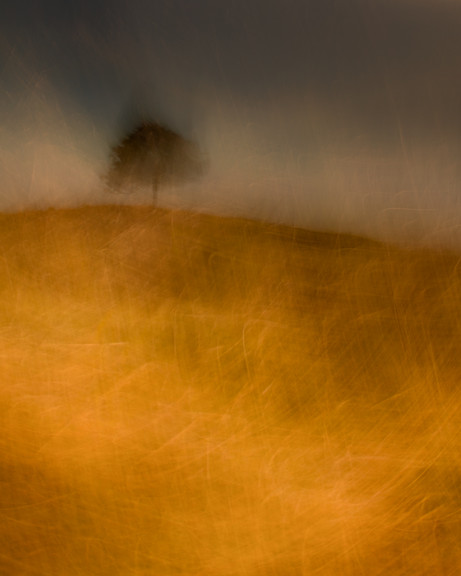 Doug Chinnery Intentional Camera Movement Webinar