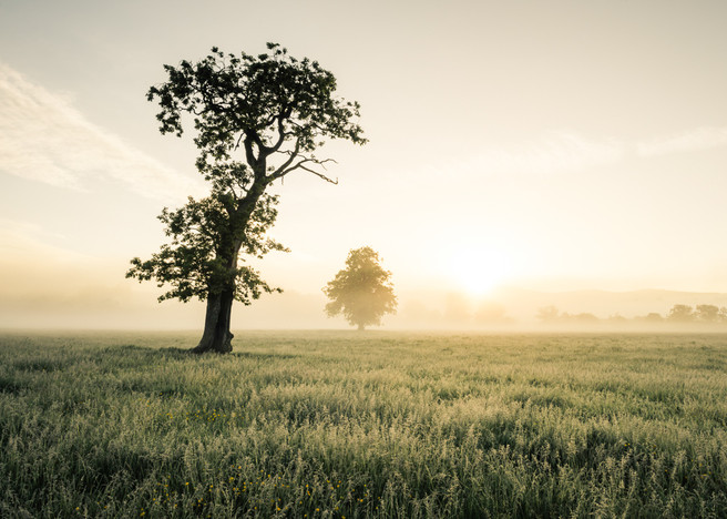 Mark Littlejohn - cumbria photography 2