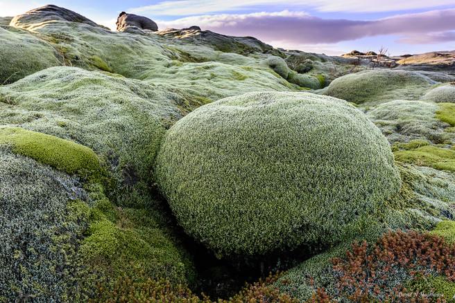 Skaftáreldar Lava Fields-small