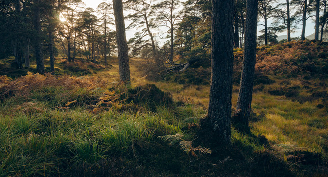 Hills above Loch Tulla