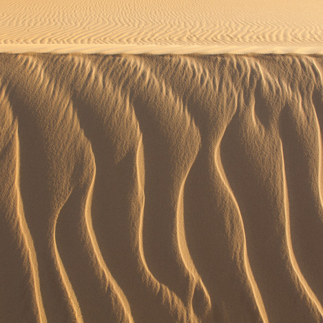 Sahara-Sands-Egypt-QJEL-01 - Quintin Lake