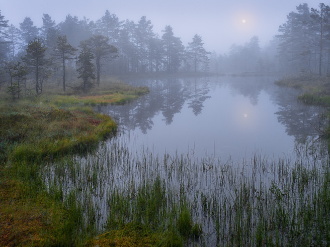 Hans Strand - Sunrise Knuthöjdsmossen Sweden