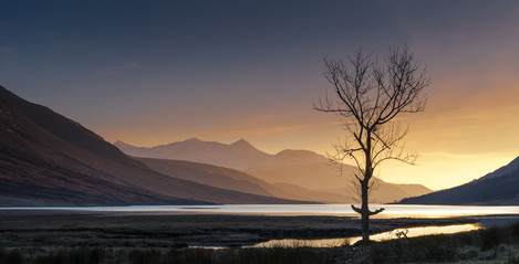 Tony Bennett - Lone Tree Loch Etive