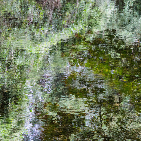 Quintin Lake -Thames Waters 5 Miles downstream (near Ashton Keynes). 