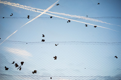 ‘Taking flight’ A7R with Sony FE 35mm F2.8 lens. 1/100 at f5.6. ISO640