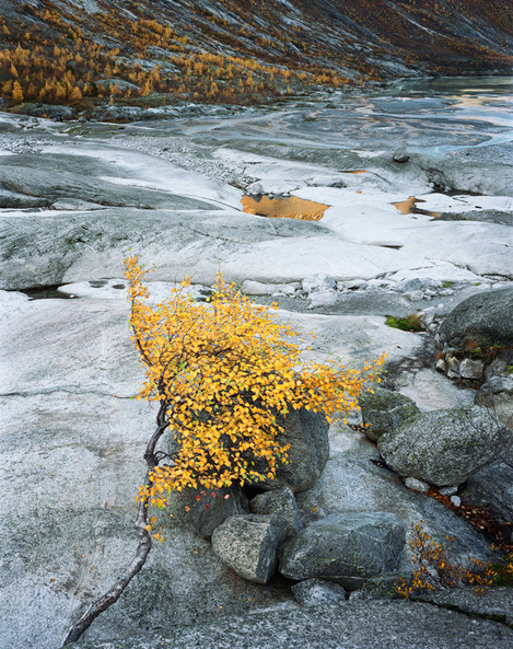 Jostedalen, Sogn og Fjordane, Norway. October 2010