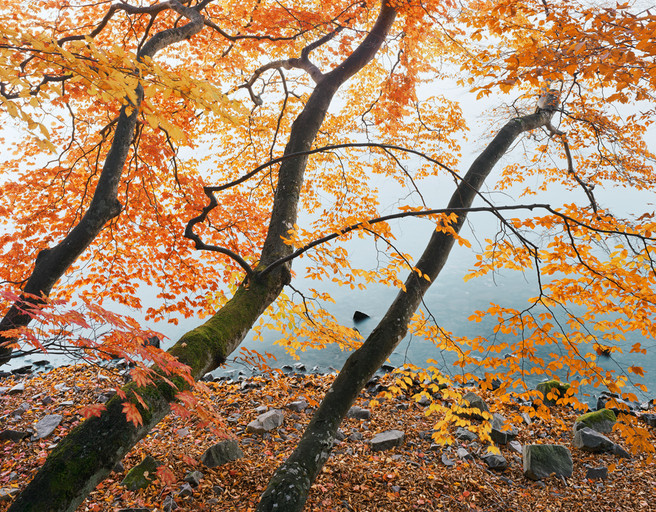 Lake Chuzenji, Tochigi Prefecture, Japan. November 2005