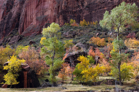 Canyon Lands- Temple