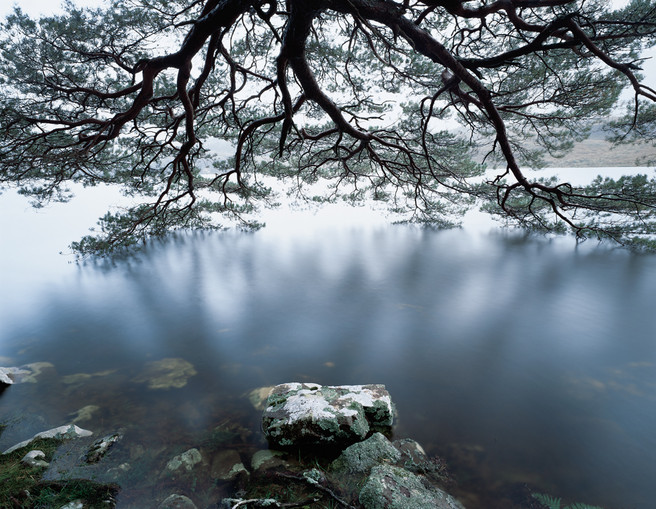 Torridon, Highlands, Scotland. May 2004