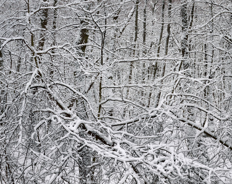 “Winter Chaos”, Lill-Jansskogen, Stockholm, January 2009.