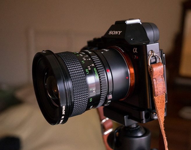 Canon FD 20mm F2.8 on a Novoflex adapter