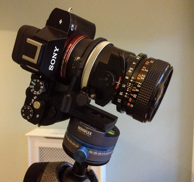 Canon 35mm TS on a Novoflex Adapter