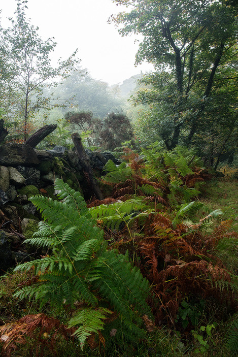 dartmoor-welstor- Two Days in the Clouds