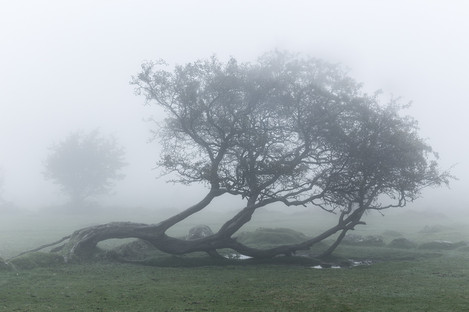 dartmoor_hemsworthy_gate_Two Days in the Clouds