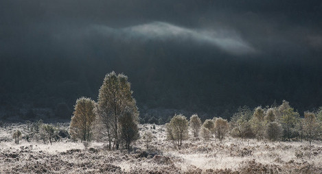Aruindle hoar frost