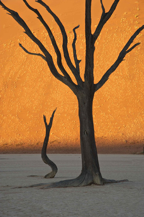 Sally_Fisher_Namibia