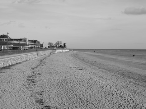 Black and white beach shot