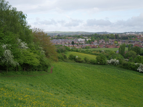 View with housing estate