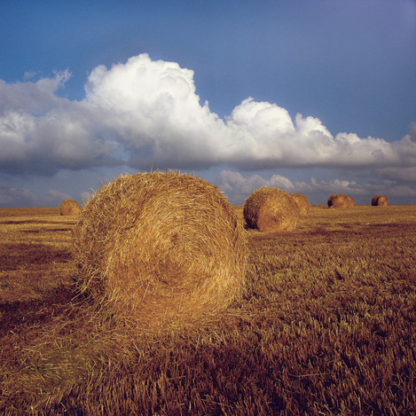 Near Stonehenge, Wiltshire