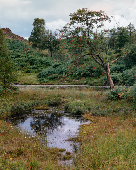 Postcards-From-Holme-Fell-4