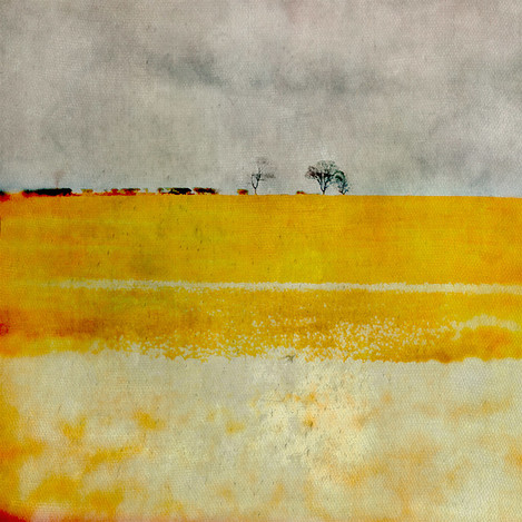 East Lothian Field, Yellow